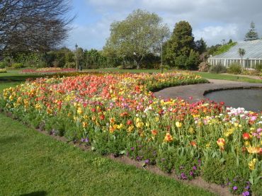 Taitua Arboretum